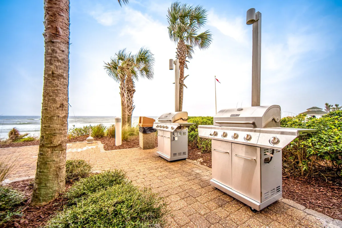 This image features two stainless steel BBQ grills set on a paved patio surrounded by palm trees, with a stunning ocean view in the background. The casual setup invites groups to enjoy outdoor cooking, dining, and socializing against a coastal backdrop.